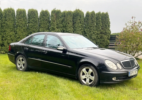 Mercedes-Benz Klasa E cena 16800 przebieg: 412000, rok produkcji 2003 z Wieluń małe 631